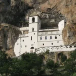 Unveiling the Enigma of the Ostropologe: A Journey Through Its Fascination