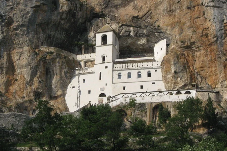 Unveiling the Enigma of the Ostropologe: A Journey Through Its Fascination